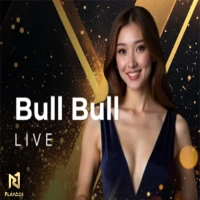Bull Bull N27