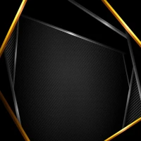 The Luxe