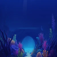Dolphin’s Jewels
